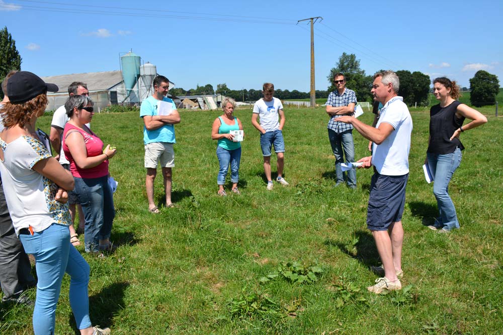 aLa journée sur la gestion des vivaces était organisée par la Chambre d’Agriculture, en partenariat avec le Civam 56, Nov’Agri et le syndicat de la Vallée du Blavet. - Illustration Focus sur les missions des Chambres d&rsquo;agriculture