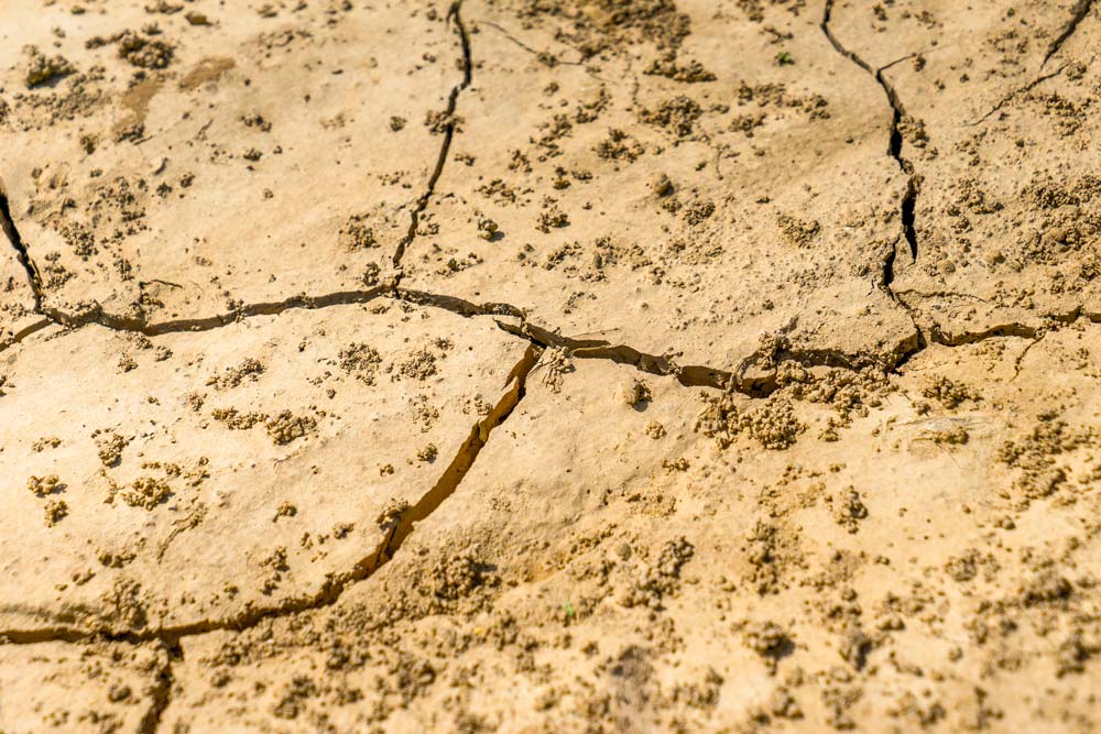 terre-climat-secheresse - Illustration Eau : l&rsquo;UFC-Que choisir étrille le plan sécheresse 2017 de S. Travert et N. Hulot