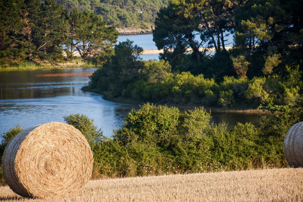 paille-littoral - Illustration Épandages limités à moins de 500 mètres du littoral