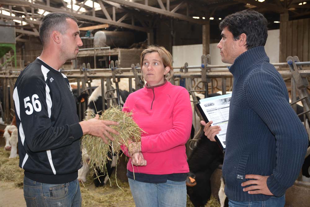 Mickaël Gergaud, Christelle Martin (associés à Sophie Ducastel, absente sur la photo) et François-Xavier Babin, animateur Segrafo Ouest. - Illustration De l&rsquo;herbe et du méteil séchés en grange