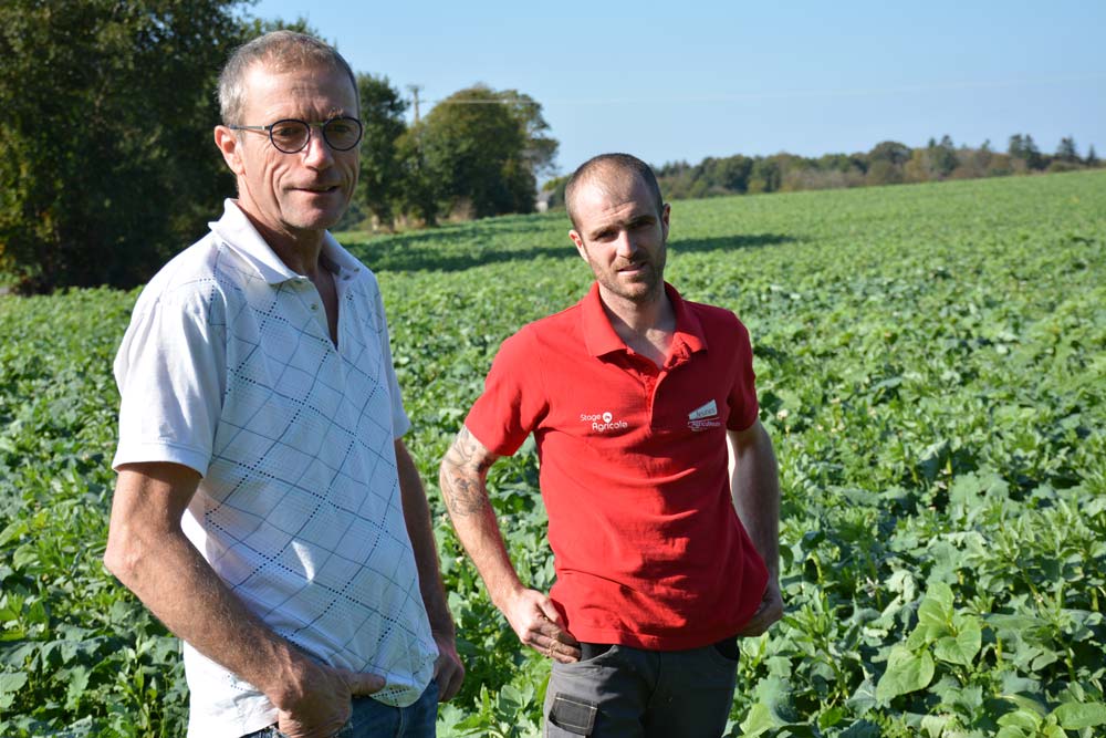 Hubert et Thibaut Le Masle - Illustration L&rsquo;EARL Ar Voustoer en semis direct depuis 4 ans