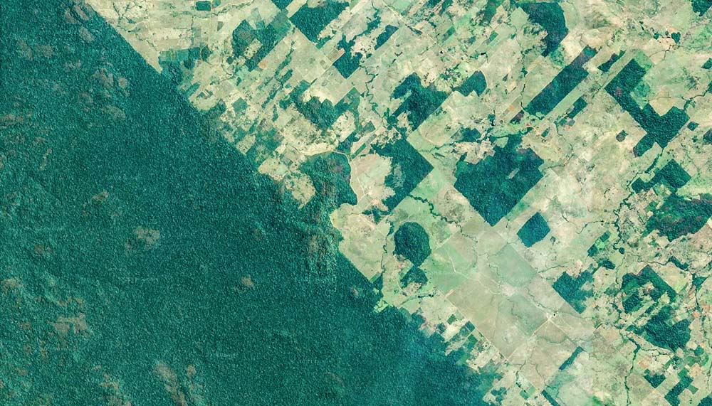 Recul de la forêt Amazonienne ©Google Maps - Illustration L&rsquo;agriculture est « l&rsquo;un des principaux moteurs » du déclin de la biodiversité, selon WWF