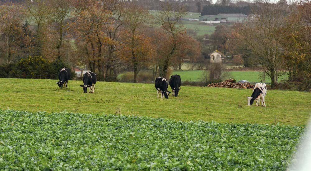 Pour la Cour des comptes européenne, la majeure partie du budget servira à financer des paiements directs, ne répondant pas à nombre de préoccupations environnementales. - Illustration PAC : « Mettre fin au règne des inégalités »