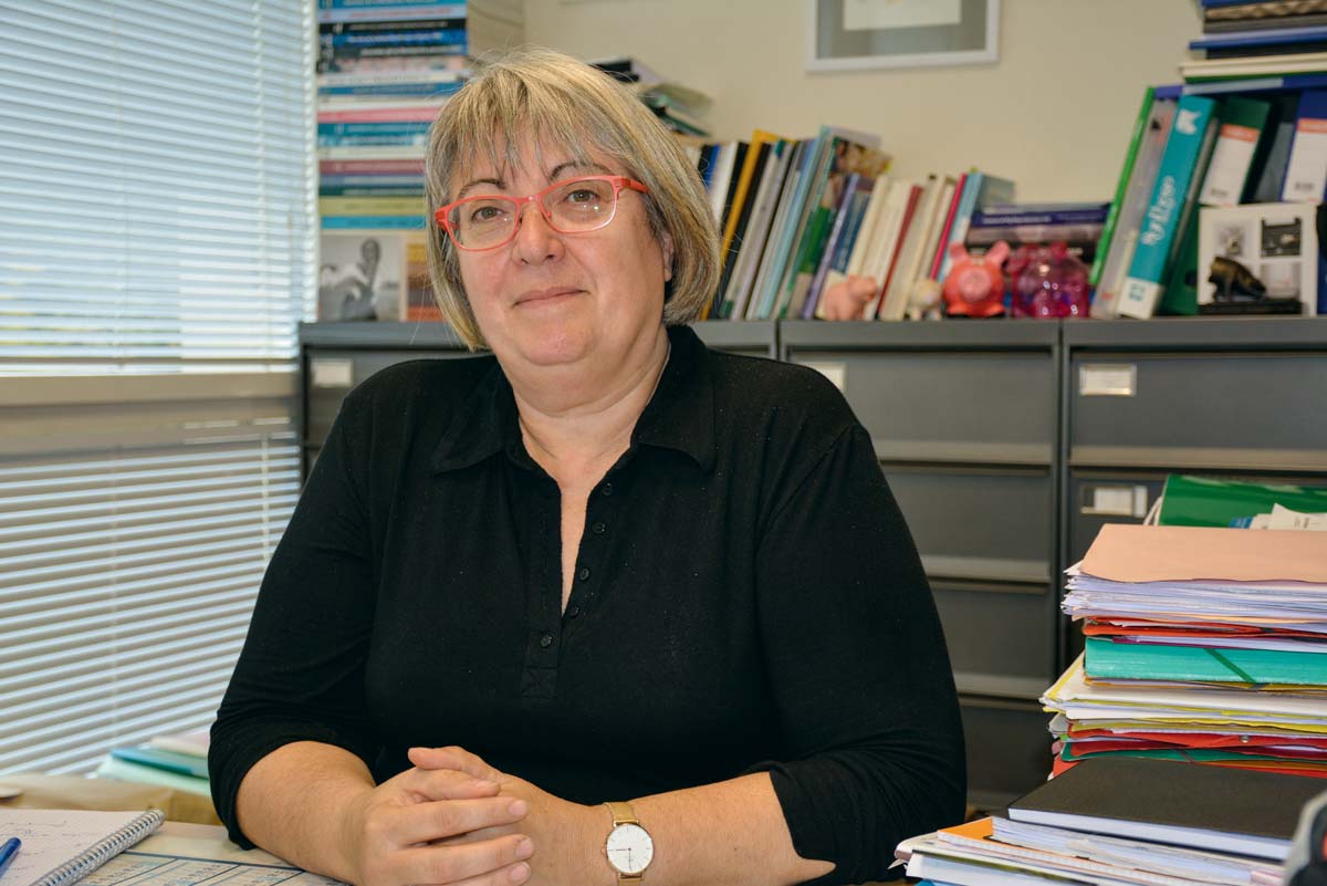 Sylviane Boulot, Ifip - Illustration Recherche en production porcine : L&rsquo;insémination artificielle unique, toujours en ligne de mire