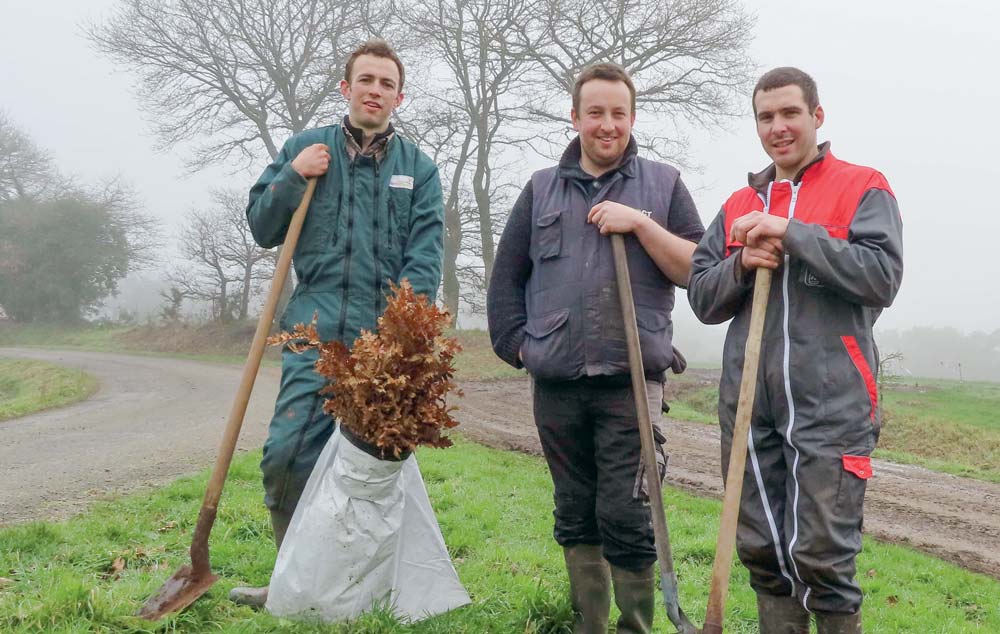 Mardi 5 février, les jeunes agriculteurs ont planté 250 arbres. D’ici quelques jours, 250 autres spécimens seront mis en terre. - Illustration Des Jeunes Agriculteurs plantent 500 arbres pour demain