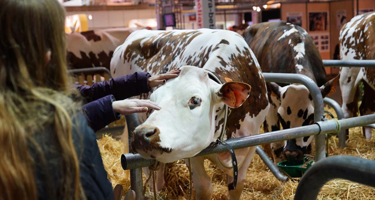 sima2017-simagena - Illustration Un nouveau RDV au Sima 2019 : la journée de l&rsquo;élevage