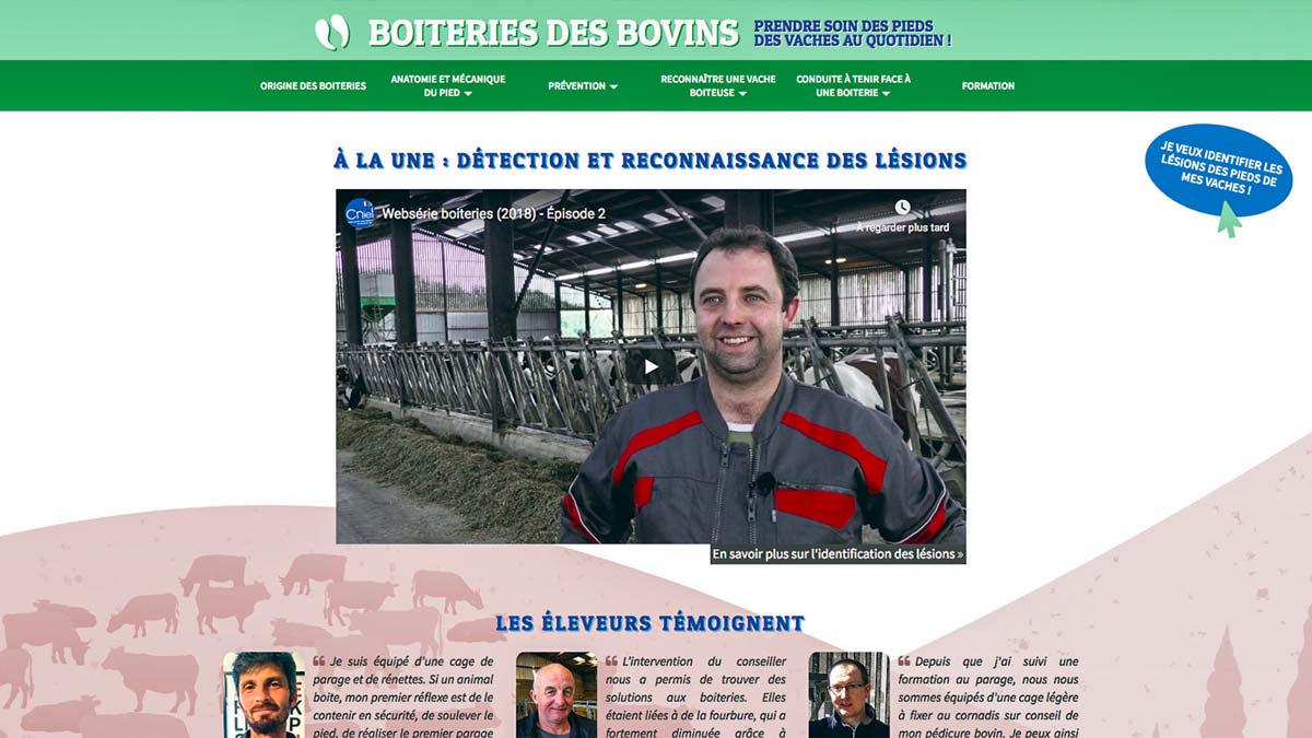 site-boiterie-bovin - Illustration « Boiteries des bovins », un site dédié pour s’informer