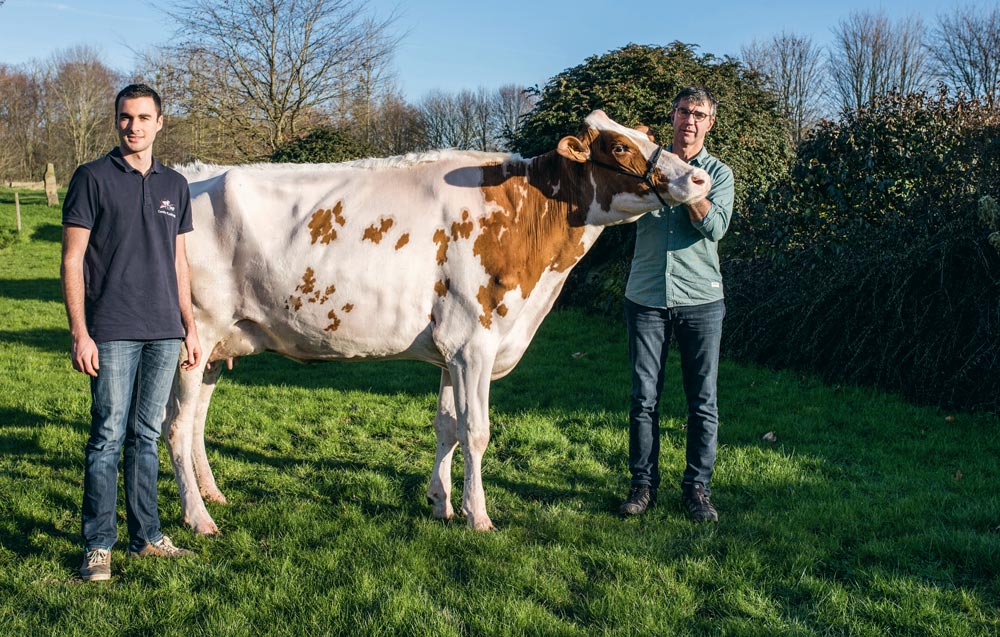 Pour l’anniversaire de ses 20 ans, Camille Plainfossé a reçu un drôle de « cadeau collectif » : son père, Alain, et ses proches lui ont offert Bot Califa, le premier animal rouge du troupeau familial. - Illustration Prim’Holstein au Salon de l&rsquo;agriculture : Fraîche vêlée, déjà qualifiée