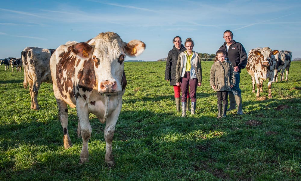 Stéphanie, Mélia, Noëline et Jean-Yves Ogé sont fiers d’emmener Malise à Paris : Elle sera l’une des 7 Bretonnes du concours de la race Normande. - Illustration Normande au Salon de l&rsquo;agriculture : la jeune Malise fait sa valise