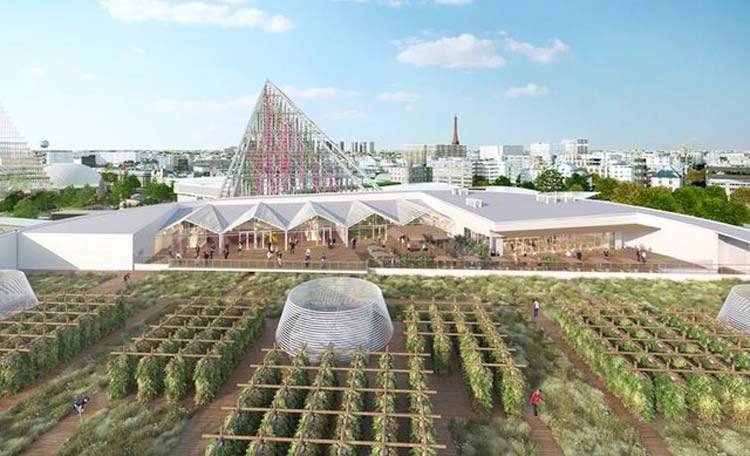  - Illustration Le Cese propose d&rsquo;adapter le statut du fermage à l&rsquo;agriculture urbaine