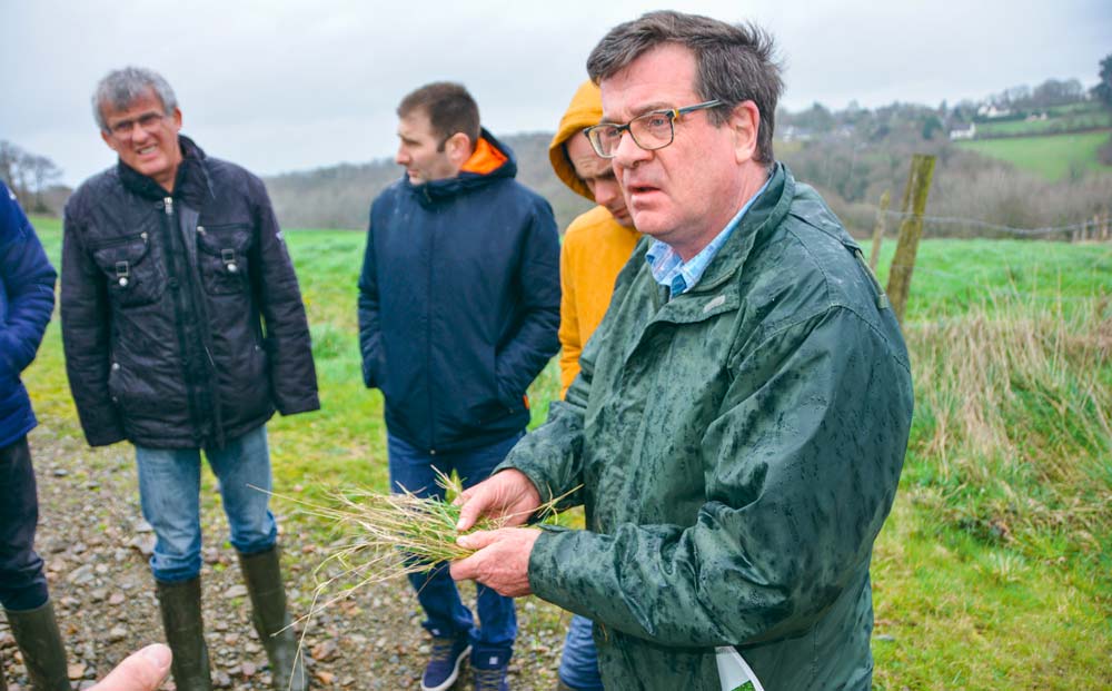 Michel Falchier, tenant une touffe d’agrostis stolonifère, a prodigué de précieux conseils aux agriculteurs en matière de lutte contre les vivaces. - Illustration Coriaces, les vivaces prennent de la place
