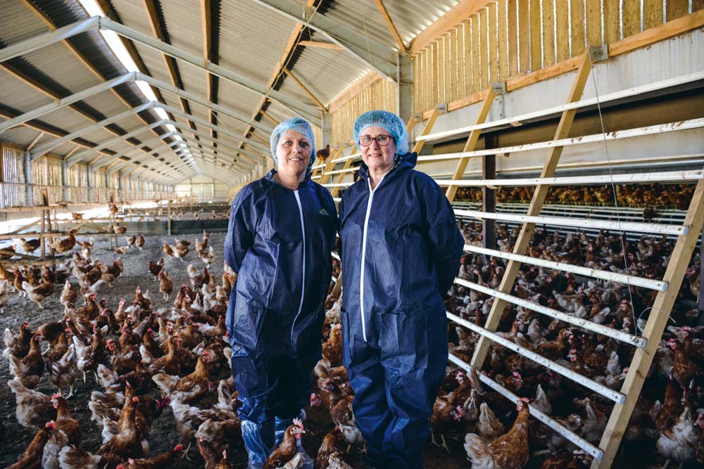 Nathalie Mordelet, responsable technique pondeuse pour Le Gouessant, et Isabelle Guillerm, avicultrice. - Illustration Passage progressif de 4500 à 12000 poules bio