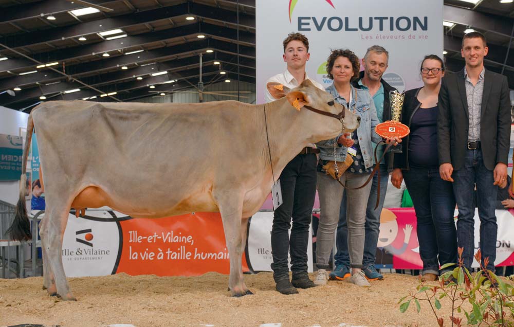 Marina du Gaec Ker Brégère affiche en 2e lactation un TB de 62 et un TP de 39. - Illustration Foire de Rennes : Marina, gagnante du 1er concours jersiais