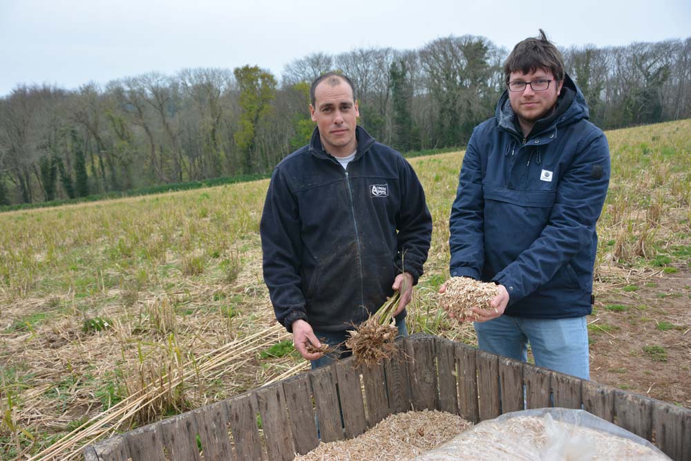 Sébastien Bouget, à gauche, a implanté un miscanthus dans des parcelles en pente. Ici accompagné de Vincent Salou, conseiller à la Chambre régionale d’agriculture. - Illustration Miscanthus : Une grande graminée en terre légumière