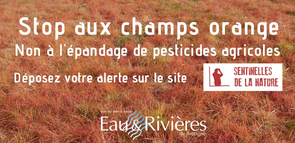  - Illustration L&rsquo;opération anti-désherbants de l&rsquo;association Eaux et rivières passe mal