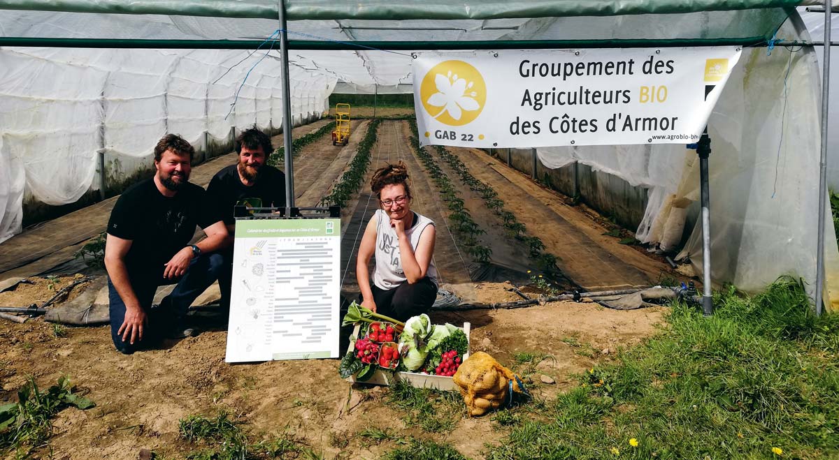 Sur leur ferme de Moustéru, Marc Anquetil et Marie Pernot, accompagnés de Dominique Boutouiller, maraîcher sur Plougonver, présentent le stade de développement d’une culture de tomates en serre froide, ainsi qu’un panier de légumes à la mi-avril qui respecte la saisonnalité. © Gonçalo Goncalves - Illustration « En bio, ne pas laisser les serres chauffées bafouer la saisonnalité »
