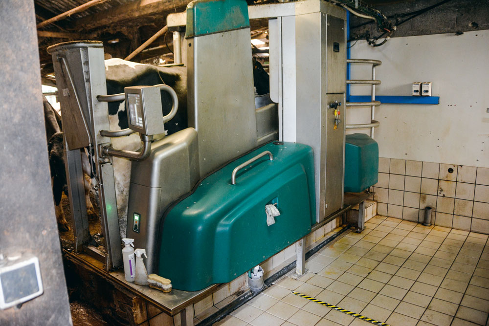 Ce robot a été changé en une journée. Il a été préparé sur une plaque en inox, et a pris le relais de la traite en fin de journée, lors du chantier de montage. La dalle en béton a été sciée à gauche, pour permettre des visites de contrôle. - Illustration Le robot change de couleur dans la journée