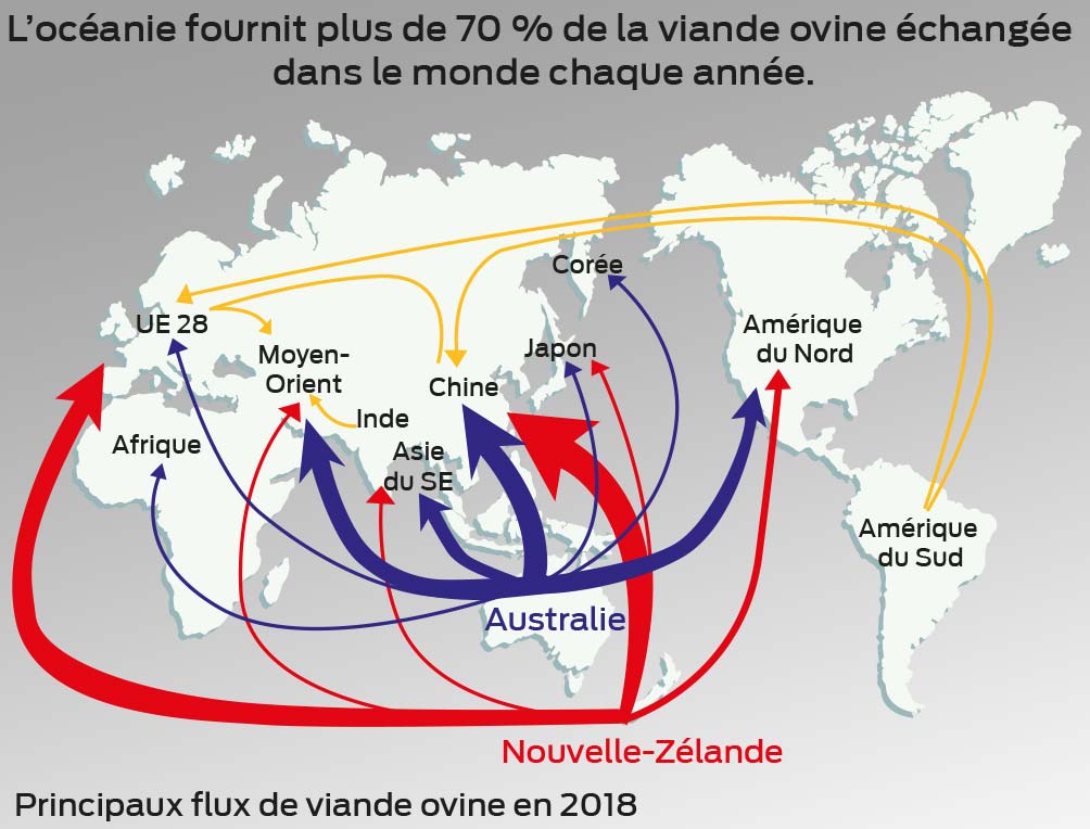  - Illustration Ovin : Faut-il craindre les exportations d’Océanie ?