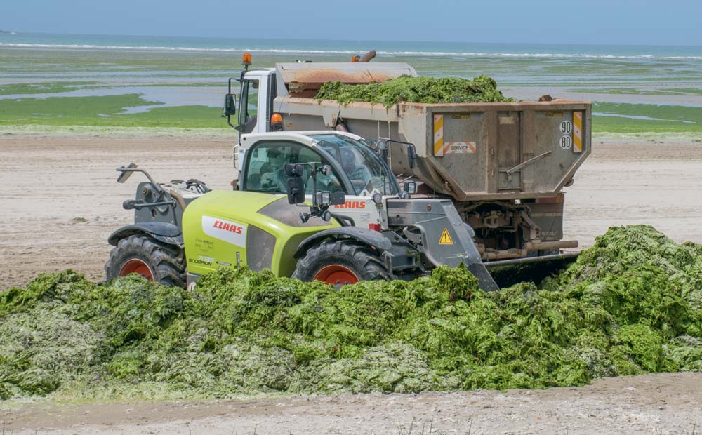  - Illustration Greenpeace attaque un arrêté simplifiant les ICPE