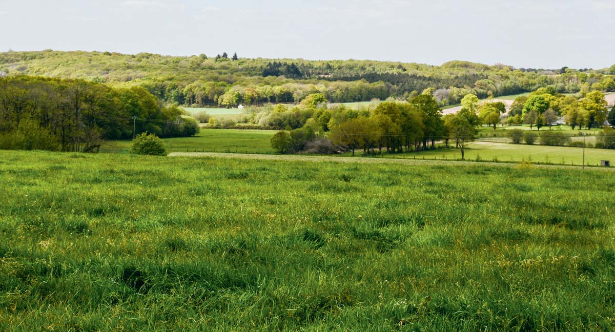  - Illustration GES : l&rsquo;agriculture française respecte ses objectifs