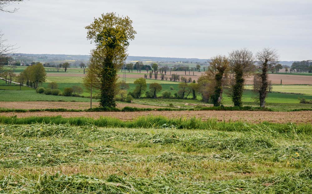  - Illustration La biodiversité, un atout pour l’agriculture
