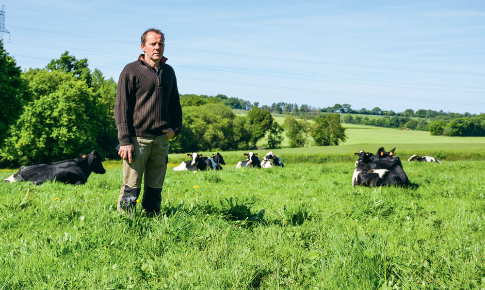  - Illustration « Je préfère cultiver l’herbe plutôt que le maïs »