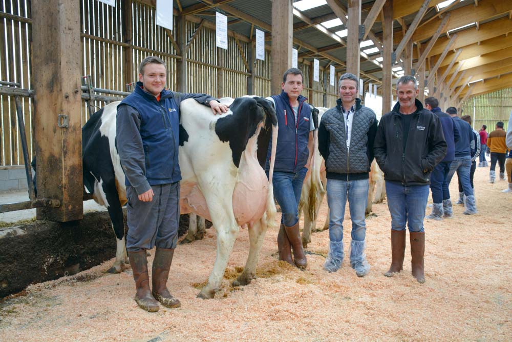  - Illustration Sélection gagnante sur les vaches « fonctionnels »