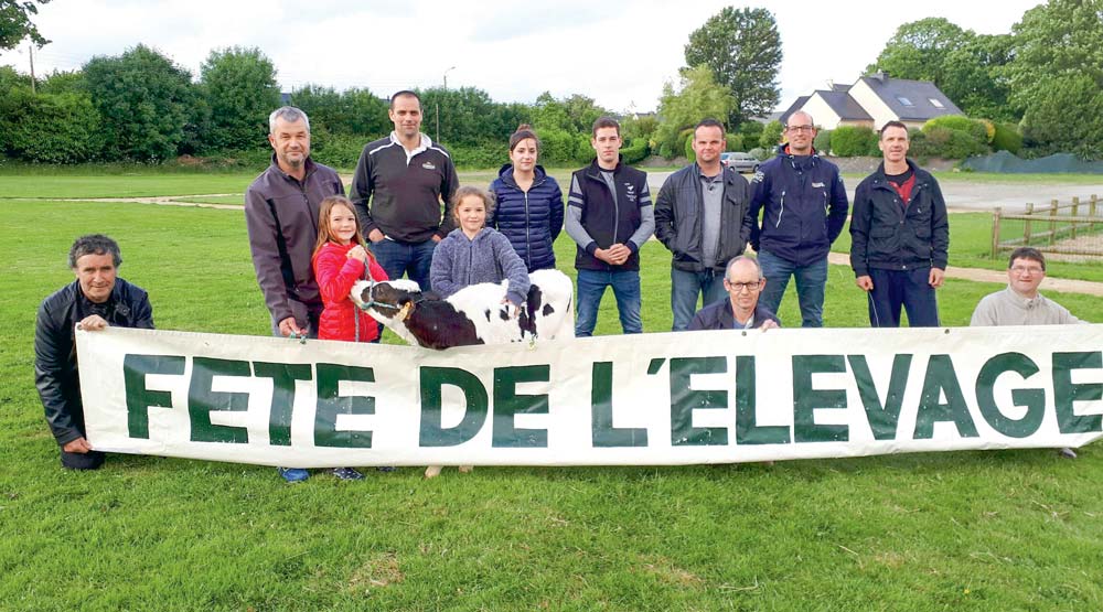  - Illustration Fête de l&rsquo;élevage : 120 bovins en concours