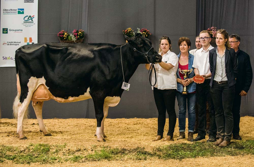  - Illustration Prim&rsquo;Holstein / Terralies 2019 : Stel Epina poursuit sa quête