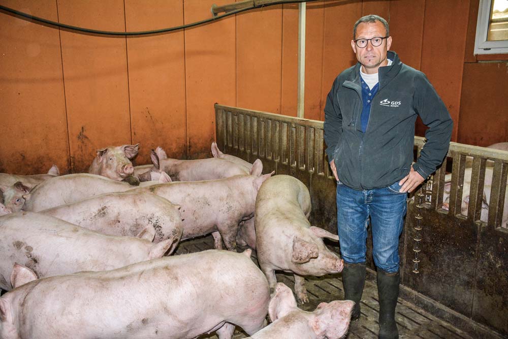  - Illustration Le porc charcutier s&rsquo;adapte au marché