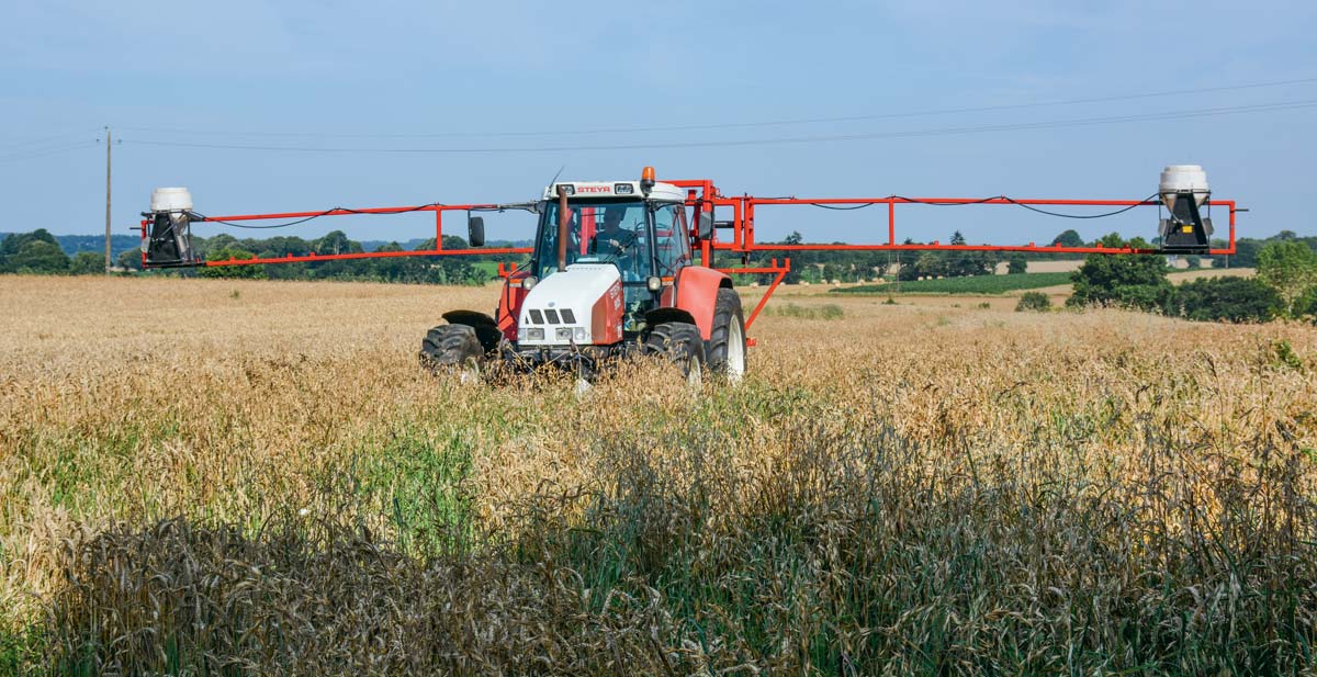  - Illustration Des couverts végétaux semés avant la moisson