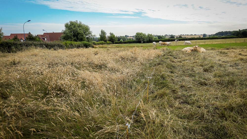  - Illustration La pratique du report de stocks fourragers sur pied dans l&rsquo;exploitation des prairies