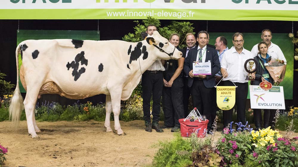  - Illustration Prim&rsquo;Holstein : Duo au sommet pour le Maine-et-Loire