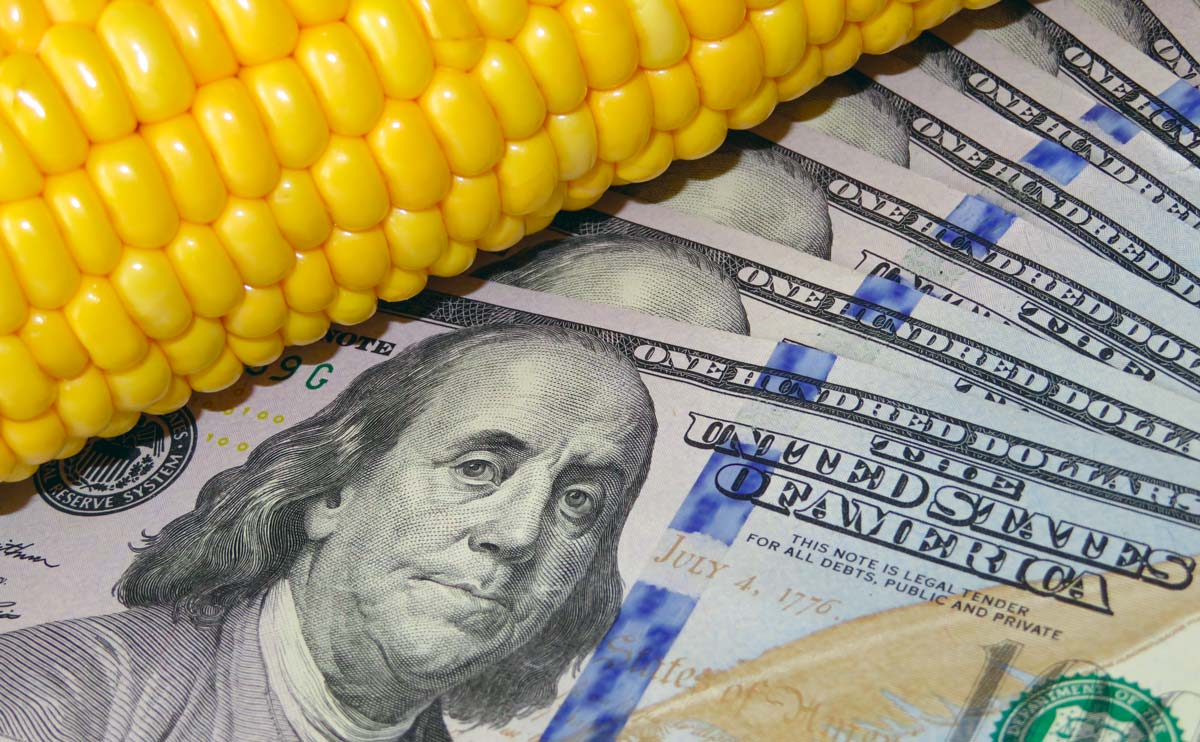  - Illustration USA, la fin des haricots ?