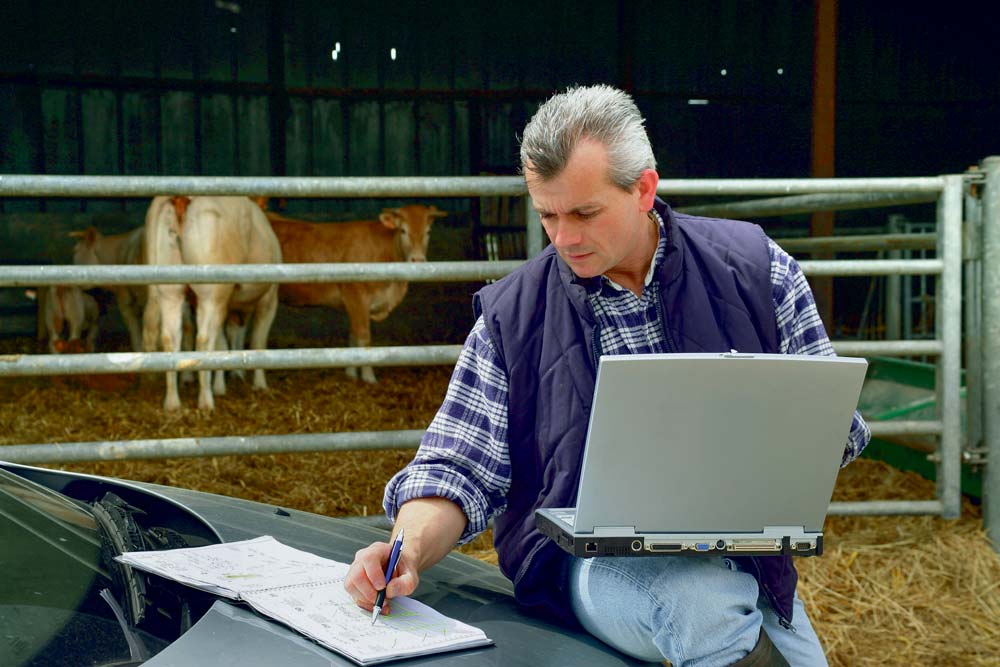  - Illustration Quels ratios financiers analyser ?