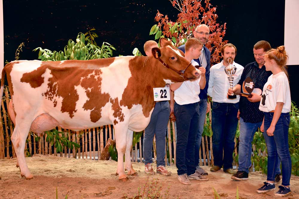  - Illustration Concours Pie Rouge, Ohhh la vache : Lyaluse au Gaec du Quinquis, de Saint-Aignan