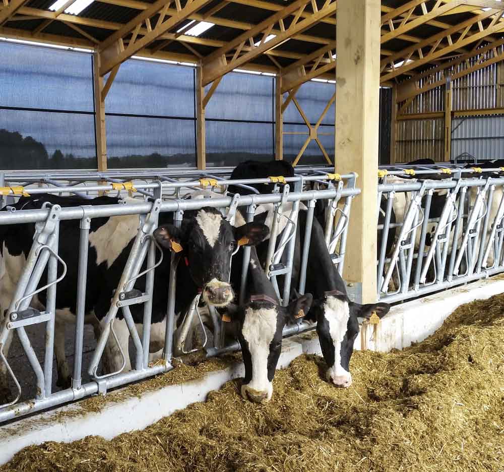  - Illustration La saison des ensilages bat son plein