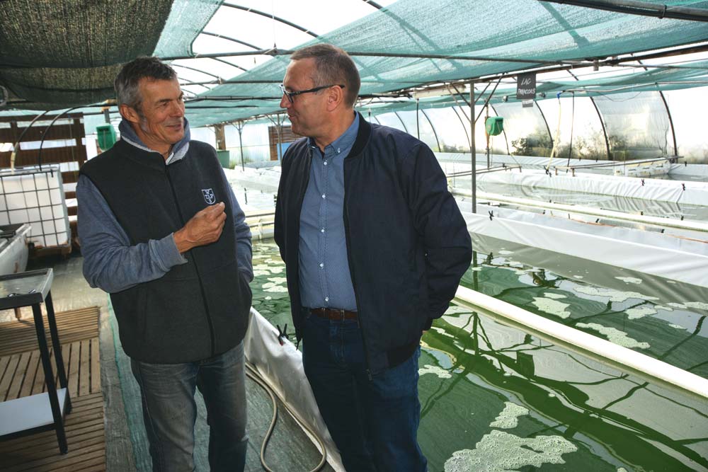  - Illustration De la spiruline en bassin versant algues vertes