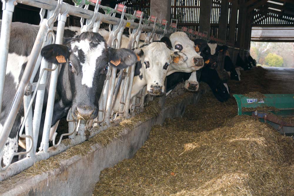  - Illustration Lait : Le sceau du bio ne suffit plus