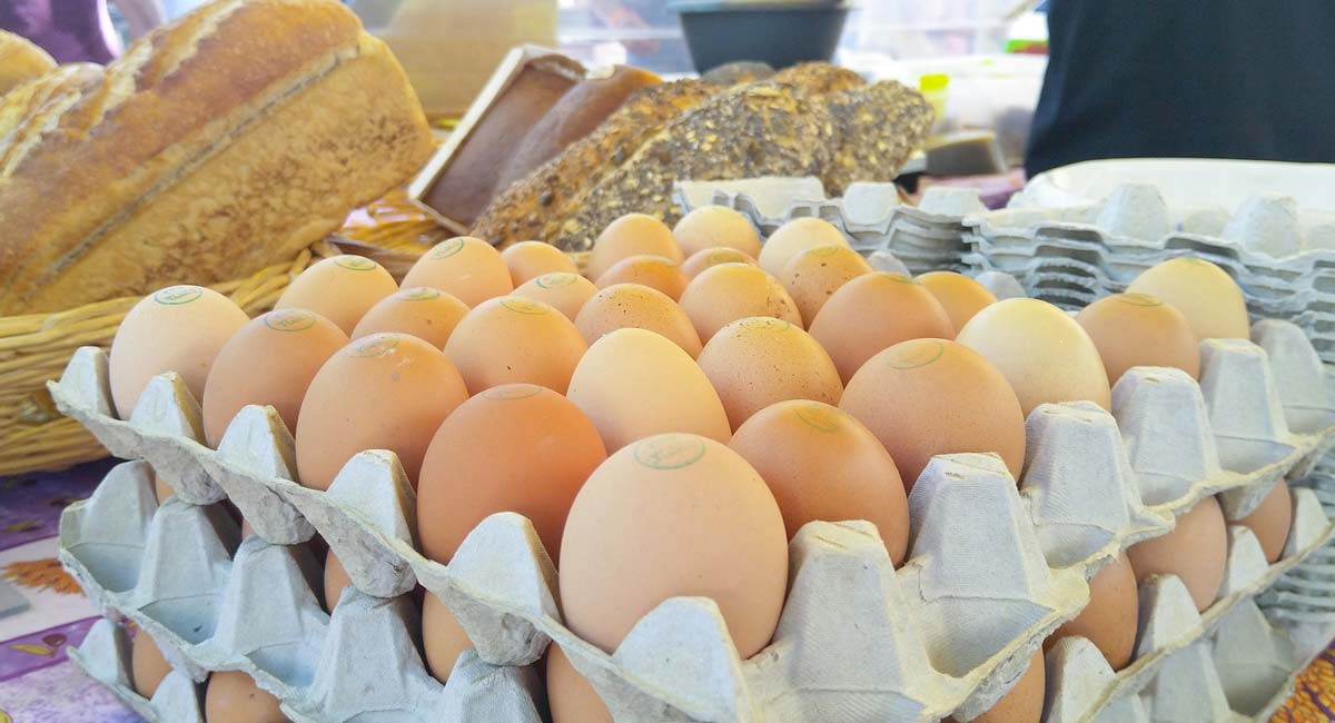  - Illustration Le confinement a fait augmenter les ventes d’œufs de 44 %