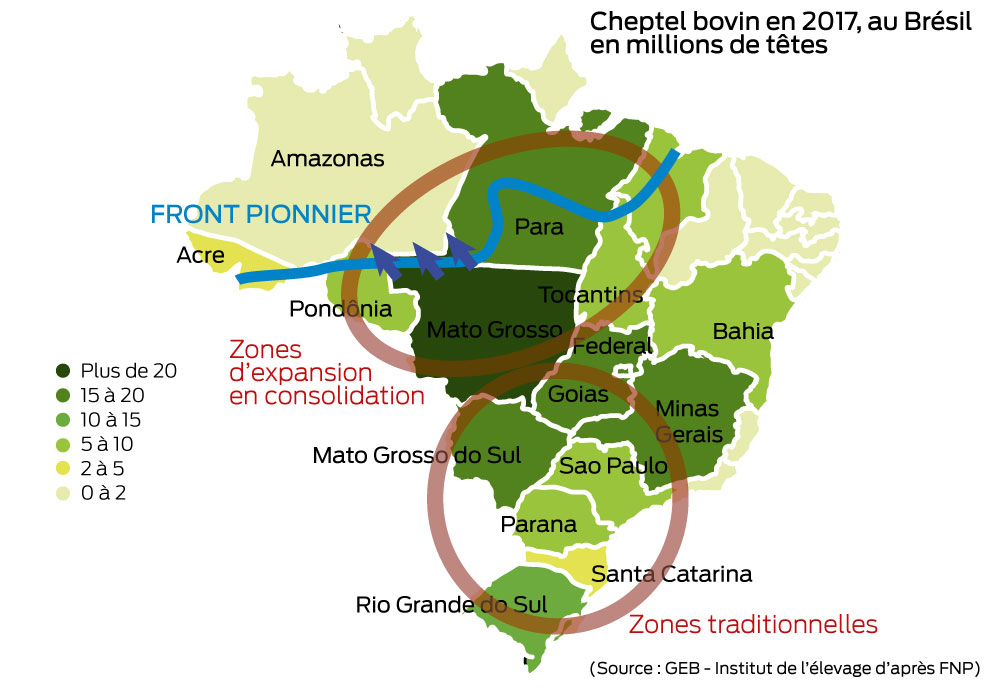  - Illustration Le Brésil offensif sur la viande bovine