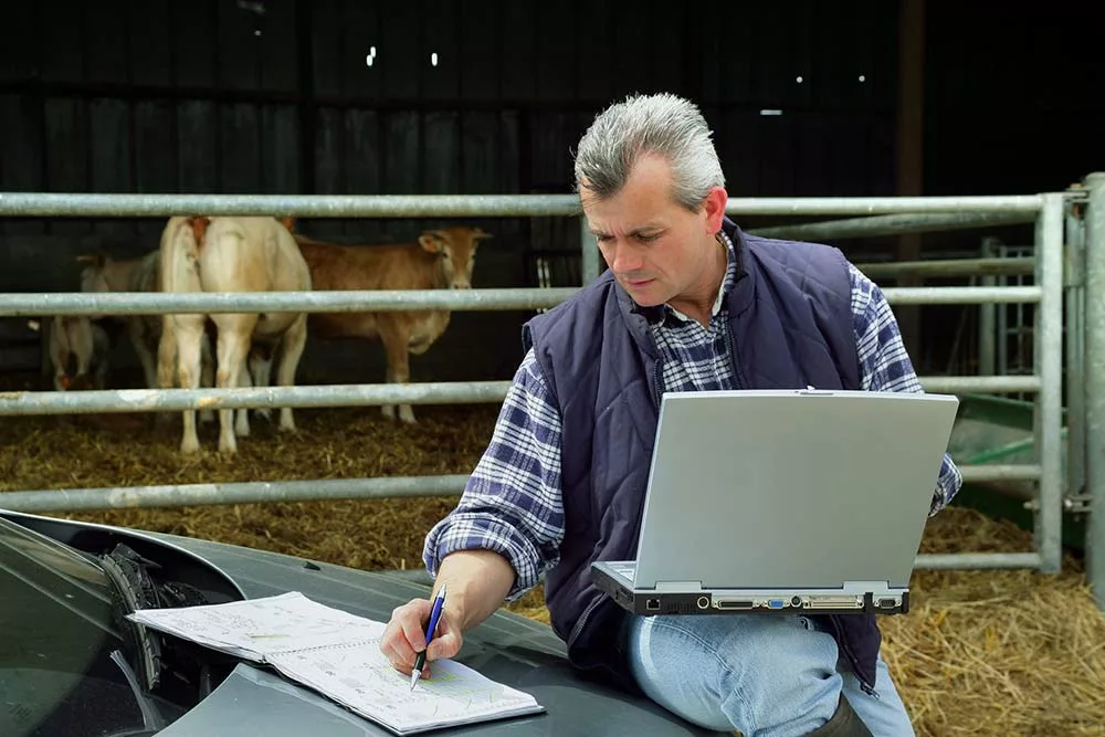  - Illustration Comment optimiser son organisation ?