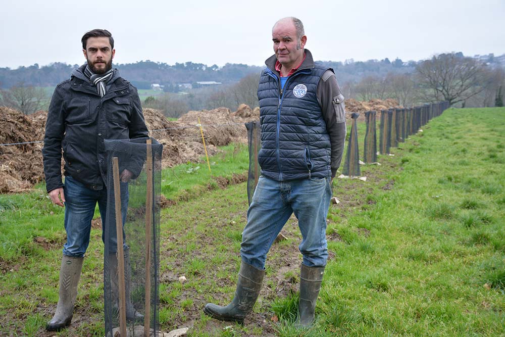  - Illustration La saison de plantation s’achève sur le bassin versant aval de la Vilaine