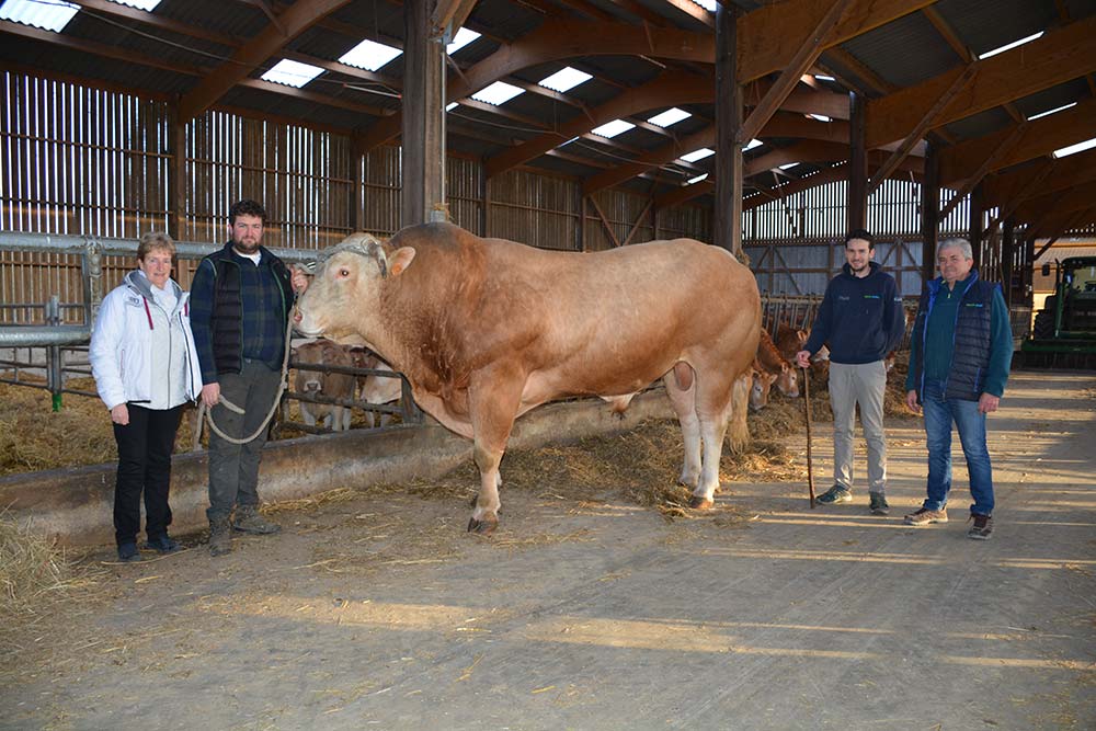  - Illustration Salon de l&rsquo;Agriculture : Malinois du Gaec de Traou-Hoat en lice à Paris