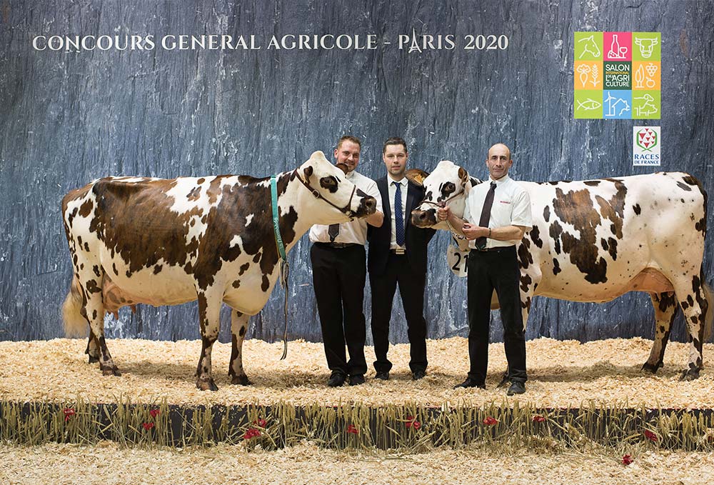  - Illustration Concours Normande Salon de l&rsquo;Agriculture : Indétrônable Hamilton