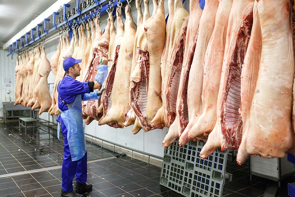 abattoir porc - Illustration Porc : Vers une pénurie mondiale de main-d’œuvre ?