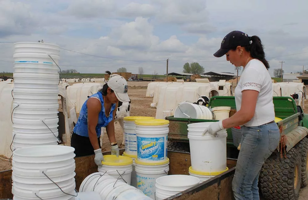  - Illustration Les USA jettent du lait