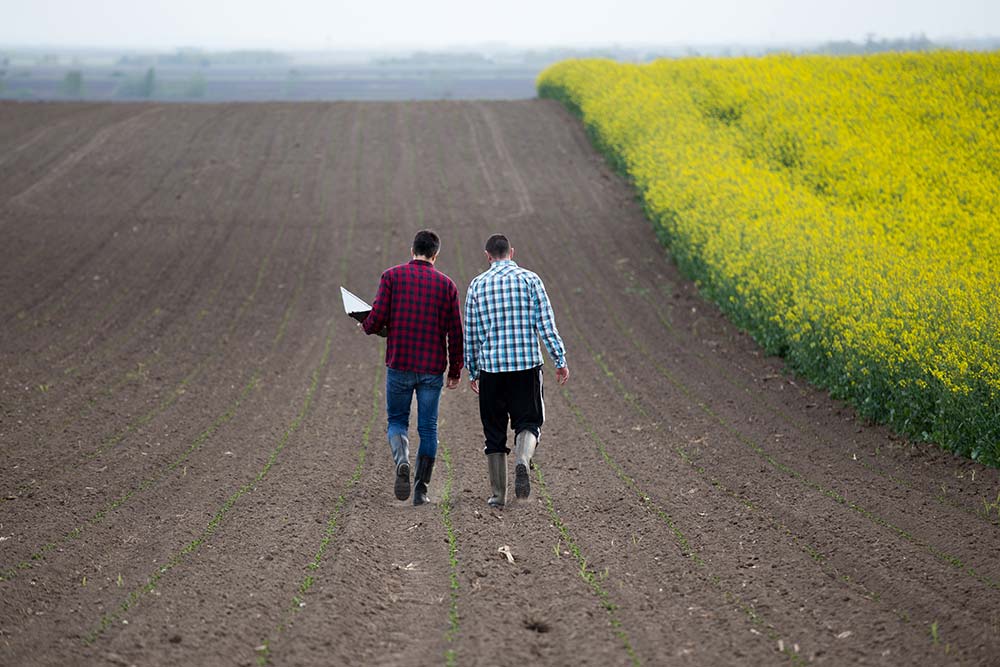  - Illustration Transmission d’entreprise agricole et pacte Dutreil, quoi de neuf ?