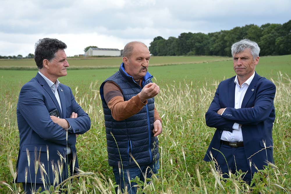  - Illustration Adeptes du bio et du sans labour, ils interpellent les politiques