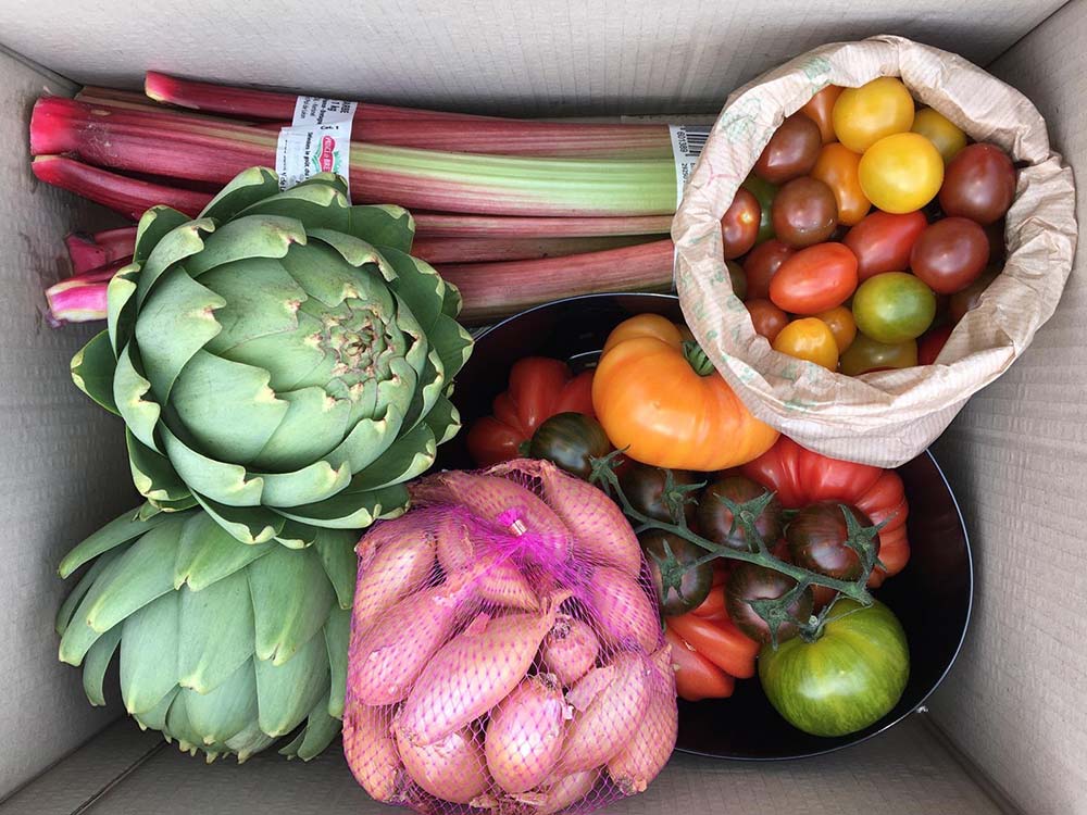  - Illustration Les légumes sont dans la place
